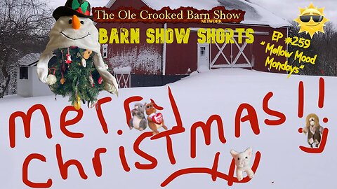 "Barn Show Shorts " Ep. #259 “Mellow Mood Mondays”