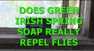 DOES GREEN IRISH SPRING SOAP REALLY REPEL FLIES