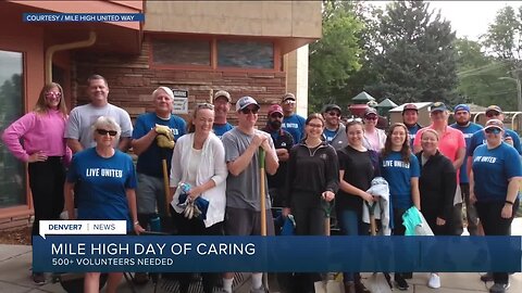 Mile High Day of Caring needs 500+ volunteers