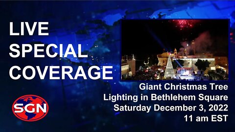 Special Live Coverage: Giant Christmas Tree Lighting in Bethlehem Square