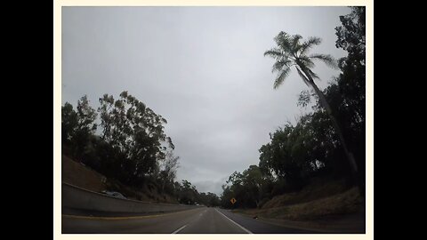 Blasian Babies DaDa Commuting In San Diego After Tropical Storm Hilary, There's No Traffic!