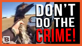 Don't Do the Crime, Pal! Sheriff's Deputy Grabs Runaway Emu by Neck