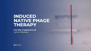 Induced Native Phage Therapy for the Treatment of Lyme Disease