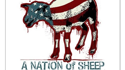 20200828 WE THE SHEEPLE