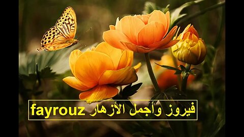 فيروزيات الصباح والجمال - fayrouz - اغاني فيروز مع أجمل الورود والطبيعة