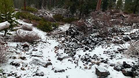 Falling Flakes Flocking Forest & RUSTIC Edison Log Cabin Shelter! | 4K Winter Hiking Central Oregon