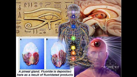 THE PINEAL GLAND: WHY REPTILLIANS WANT OUR LIGHT DIMMED.