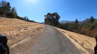 Mount Diablo Creek Trail