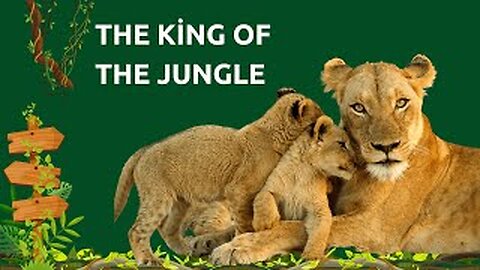The King of the Jungle:Getting Up Close and Personal with Lions|