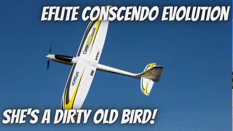 Some quality time with my dirty old E-flite Conscendo Evolution!