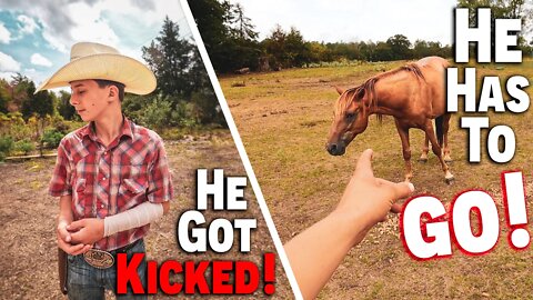 He Got (KICKED!) | He Has To GO! | What We Eat In A Day BREAKFAST! Family Farm Life Update