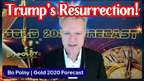 Bo Polny: 2024 Mayhem! Trump's Resurrection! Patriots Base 86.7K followers Unfollow