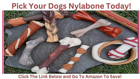 Nylabone: Get Your Dogs Nylabone Today| Go To Amazon and Save!