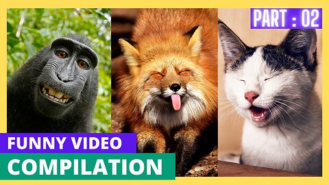 Funniest Animals 2023 😂 New Funny Cats and Dogs Videos 😻🐶 Part 02
