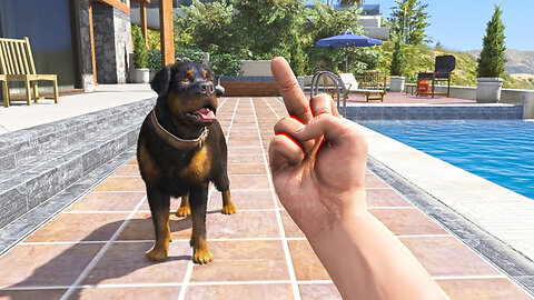 What Happens If You Show Middle Finger To Chop In GTA 5