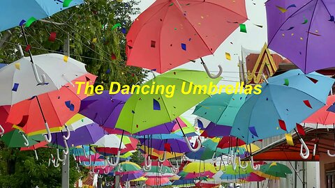 The Dancing Umbrellas