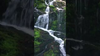 Peaceful Waterfall| All Chakra Balancing, Healing & Relaxing| #shorts