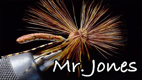 Mr. Jones - Cranefly Extended Body Dry - Fly Tying Directions - Tied by Charlie Craven