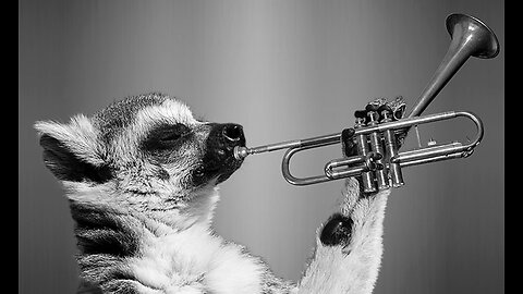 The effect of music on animals 😳😳😳