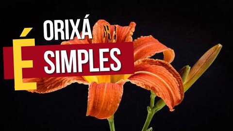 Orixá é SIMPLES