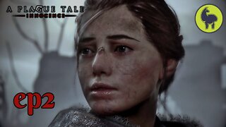 A Plague Tale: Innocence ep2 The Strangers PS5 (4K HDR 60FPS)