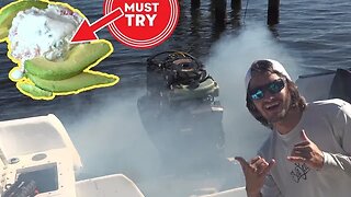 MUST TRY! Smoking Boat and HOW TO MAKE Fish Tartare | Catch N Cook