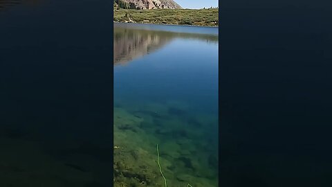 FISHING CRYSTAL CLEAR WATER! #shorts #fishing