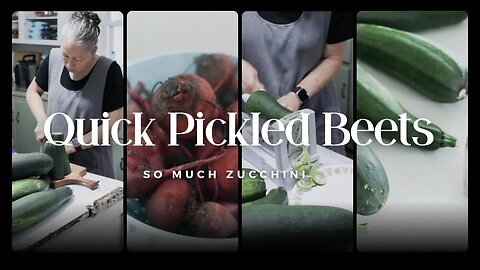So much ZUCCHINI! | Quick Pickled BEETS