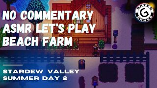 Stardew Valley No Commentary - Family Friendly Lets Play on Nintendo Switch - Summer Day 2