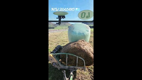 High-tech Way of Feeding Baleage into the Cows, Modern and advanced Machinery, New Zealand Farming