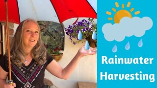 RAINWATER HARVESTING ~ A Tour of Our Home’s System