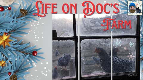 Merry Christmas : Life on Doc's Farm : Mavis Institute 🎵 🐓🦆🐝🐇🐖: