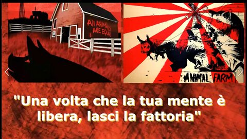 "Una volta che la tua mente è libera, lasci la fattoria"