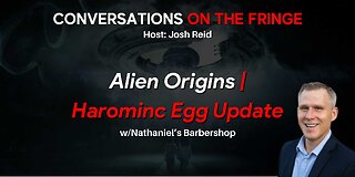 Alien Origins & Harmonic Egg Update | Conversations On The Fringe