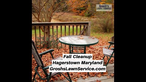 Fall Cleanup Hagerstown Maryland Landscape Company