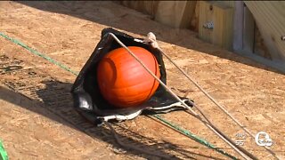 Bay Middle School Punkin Chunkin event