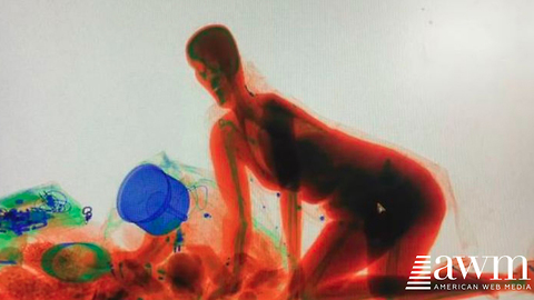 Woman Climbs Into X-Ray Machine At Security Check To Protect Her Bag