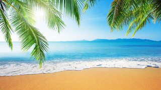 Tropical Beach Music - Barnacle Bay