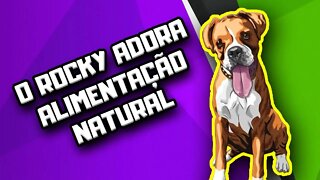 Depoimento Arnaldo Falabella | Dr. Edgard Gomes | Alimentação natural para Cães