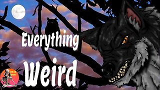 Everything Weird | Interview with Dave Spinks | Stories of the Supernatural