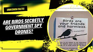 Are Birds Watching You? The Dark Secret of Government Spy Drones!