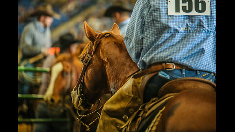 Let us take a look at the history of the National Western Stock Show & Rodeo