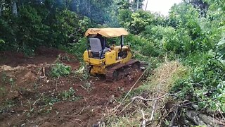 Clearing land