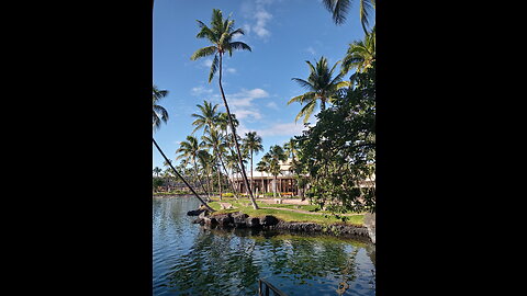Big Island Vibes Hawaii