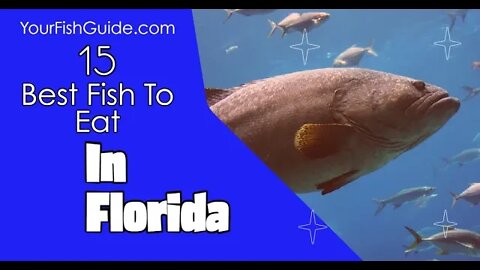 The 15 Best Fish To Eat In Florida | YourFishGuide.com
