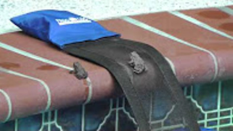 FrogLog: Animal Escape Ramp for Swimming Pools