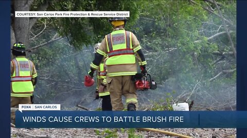 SCPFD works to extinguish brush fire off U.S. 41