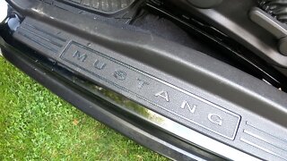 Mustang door trim overlay.