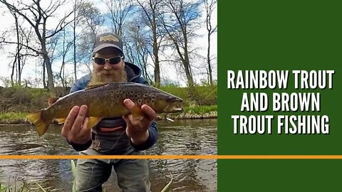 Michigan Trout Fishing / Rainbow Trout & Brown Trout Fishing Michigan / Trout Fishing Set Ups