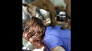 Baby Goat Jumps on the back of surprised girl and eats her hair!!